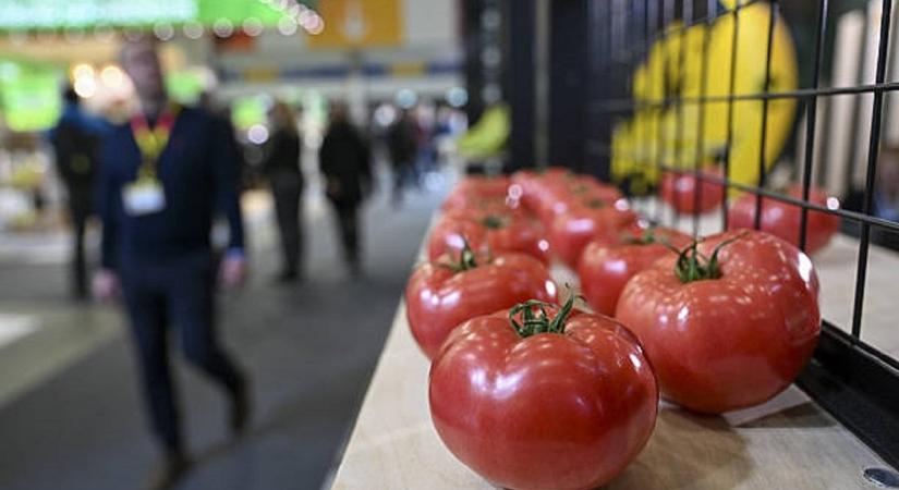 Horror árakon kínálják a magyarok kedvenc zöldségeit: döbbenetes, ami történik