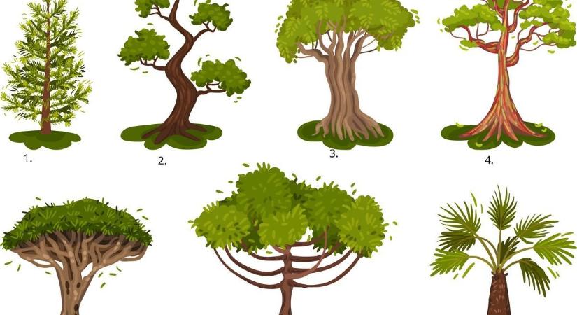 Válassz egy fát és megtudod, milyen ember is vagy valójában