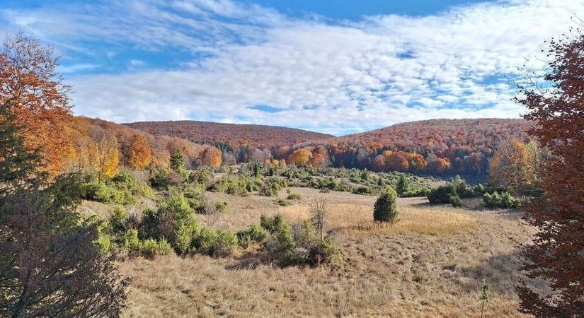 Károgók mellett huhogók is bőven voltak Hevesben
