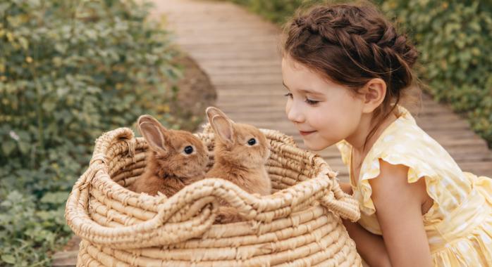 A TOJÁSTÓL A FELELŐSSÉGIG - Amikor a csokoládé nyúl még nem elég