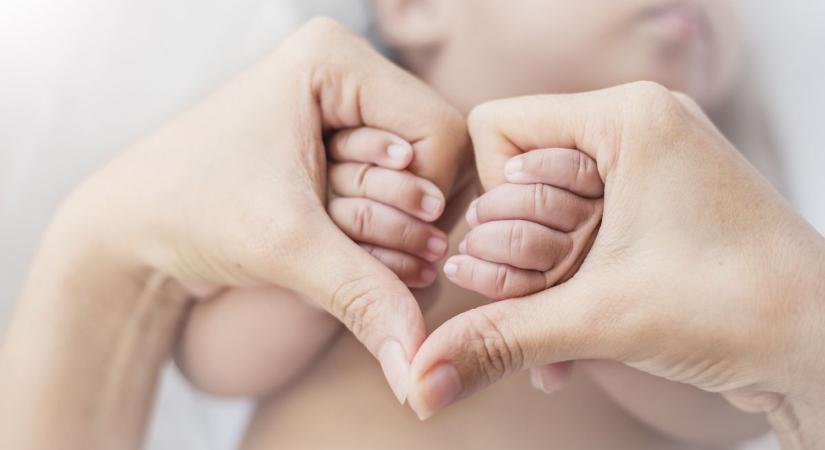 Bajai anyakönyvi hírek