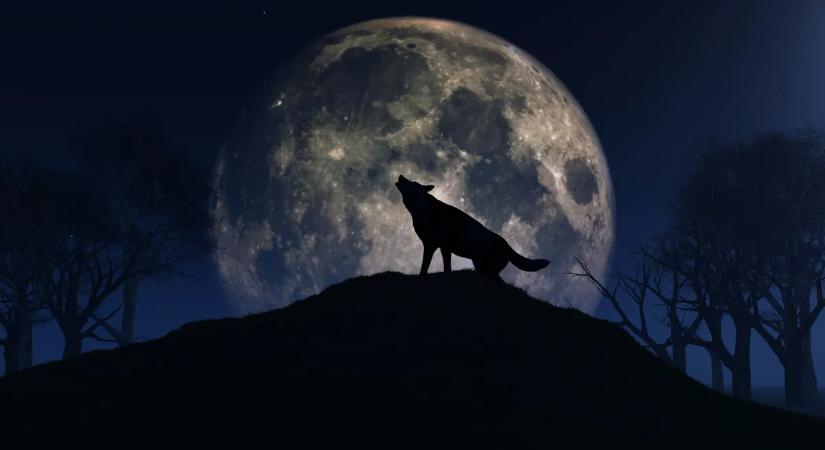 Megnyílik az égi kincstár: Szegedi Erika elárulta, hogyan hoz ma éjjel sorsfordító gazdagságot a telihold!