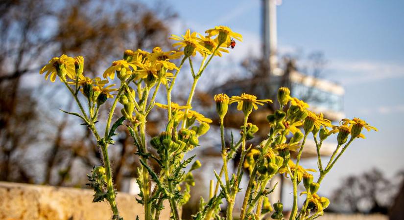 Felhők, csend és némi bizonytalanság – ezt tartogatja nagypéntek