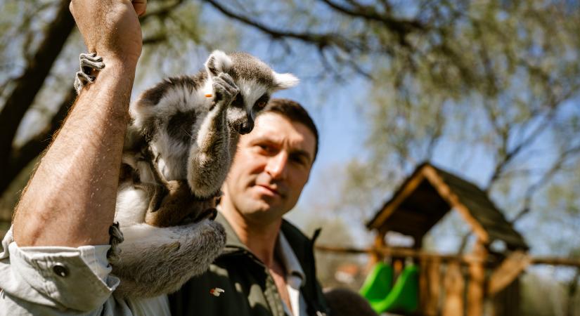 Babyboom a safari parkban, ritka ikrek a sztárok