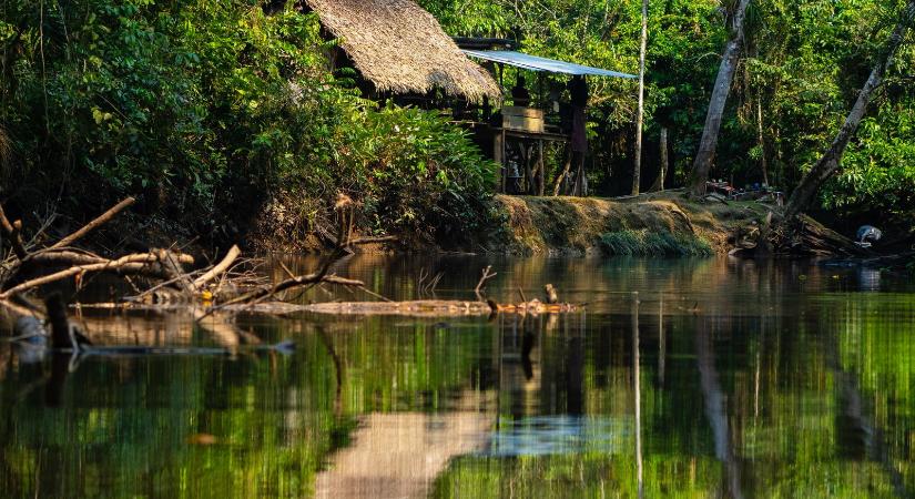 Föld alatti "várost" találtak a tudósok az amazonasi őserdőben, nem emberek építették