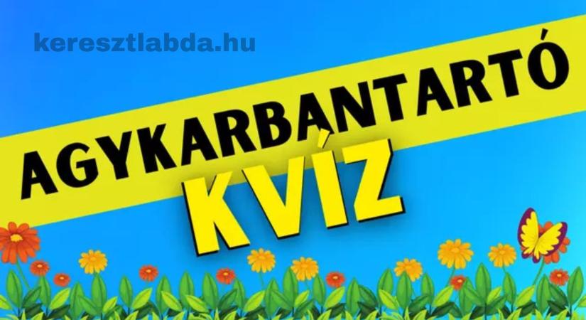 Napi agykarbantartó feladat: Hányadik a piros virág? Teszteld a vizuális memóriád!