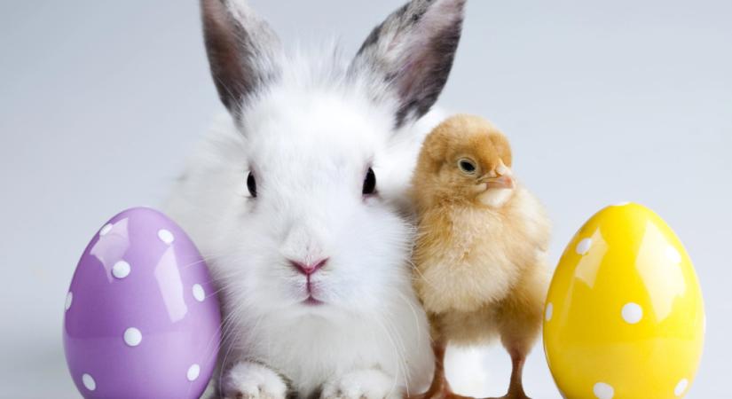 Milyen hangulatban köszönt a forint a húsvéti hétvégére?