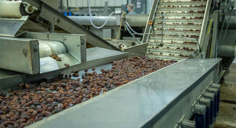 Letépte a daráló a magyar takarító lábát a húsüzemben