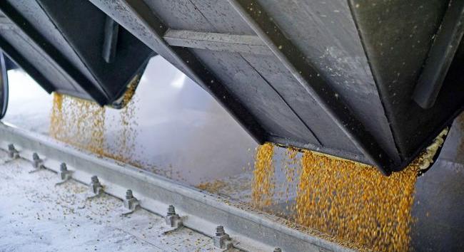 Százezer tonna gabonát adott el feketén egy állami agrárcég vezetője a bűntársaival, 29 millió dollárt loptak az államtól