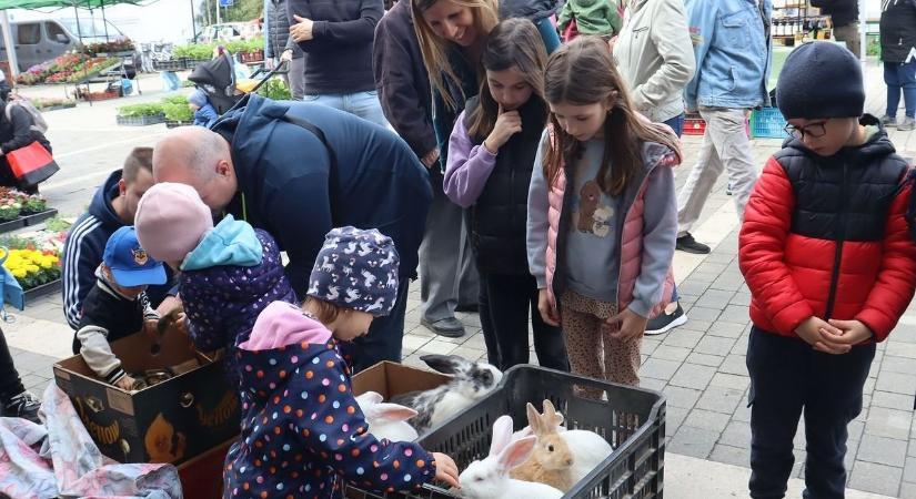 Ha valami még hiányozna, nagypénteken itt tudsz vásárolni a vármegyeszékhelyen