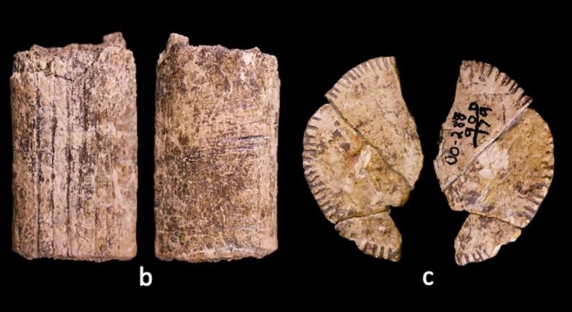 Ősi dobókockára bukkantak, átírhatja a játékok történetét a 12 000 éves lelet