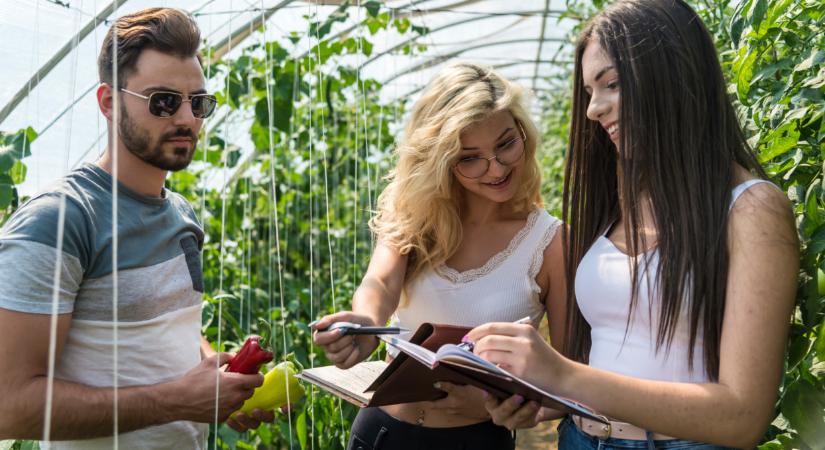 Erős kijelentést tettek: enélkül nincs jövője a magyar mezőgazdaságnak