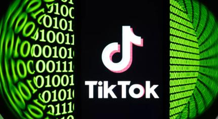 Több száz, a magyar választásokat célzó fiókot törölt a TikTok