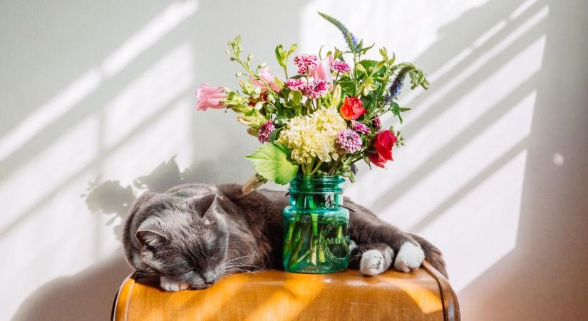 Ez a 3 csillagjegy rosszul viseli a tavaszi fáradtságot