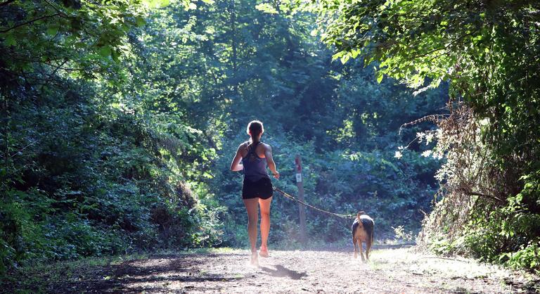 Az Alkotmánybíróság eltörölte a kutyás sportok vitatott tilalmát
