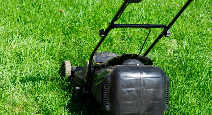 Letaszították trónjáról a csokinyuszit: ezt veszik helyette a magyarok