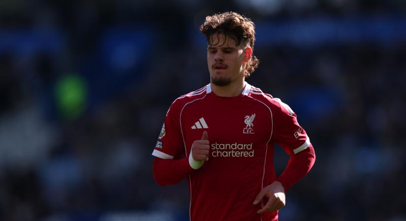 Minden magyar értetlenül nézte, Kerkezből szerb játékost csináltak