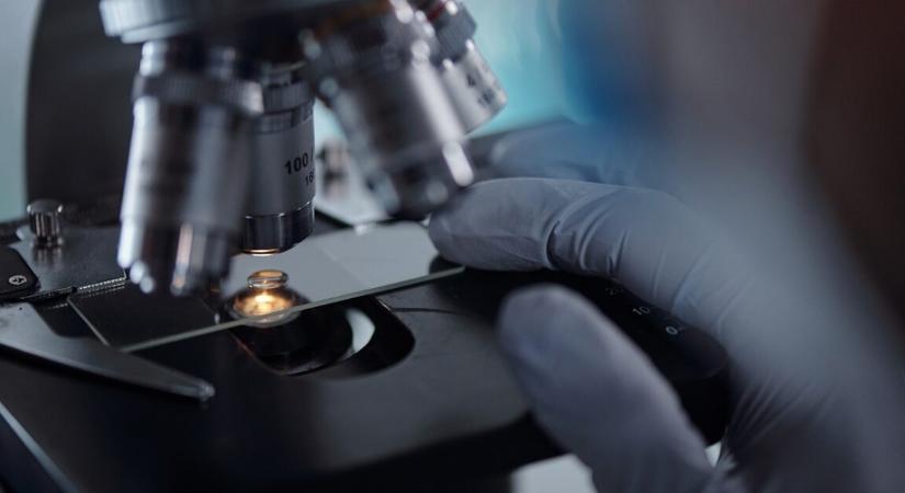 Most derült ki, hogyan ver át minket a halálos parazita