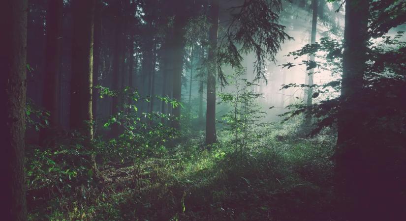 Kirándulna a hosszú hétvégén? Akár 100 ezres bírságot is kaphat