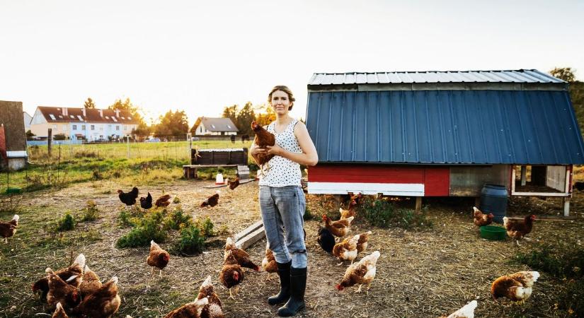 Egy török cég hatalmas élelmiszeripari üzemet épít Magyarországon