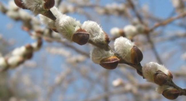 Ilyen időjárás várható április 3-án, nagypénteken