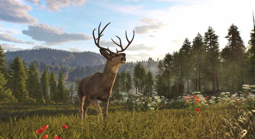 Már kipróbálható ez az új vadászszimulátor