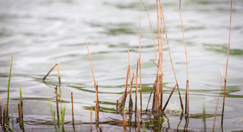Szeles, változékony idő vár ránk nagypénteken