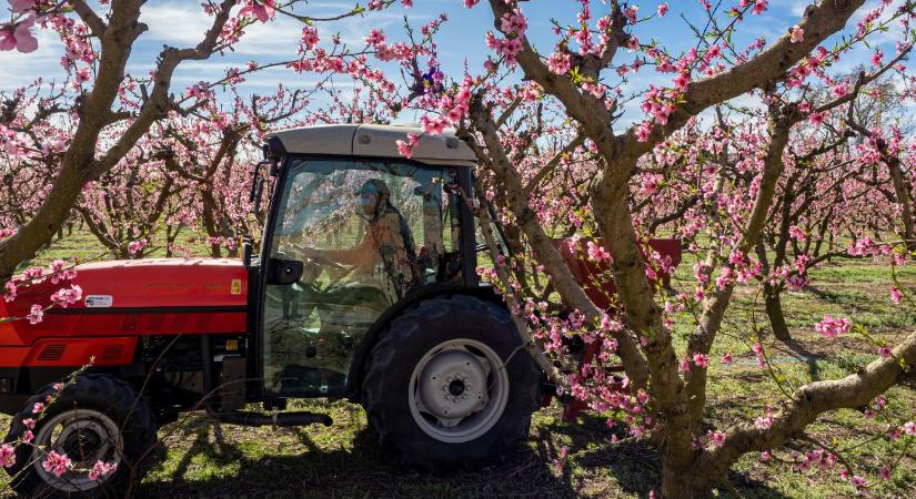 Jó hír: egyre melegebb lesz!
