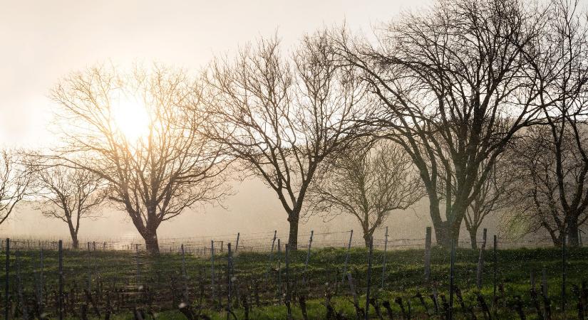 Komoly változás érkezik ma, elmondták a meteorológusok, milyen időre számíthatunk húsvétkor