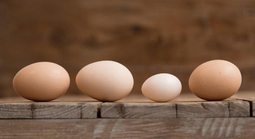Sokan nem is sejtik a bolti tojások titkát: ez dönti el, mi kerül a polcokra