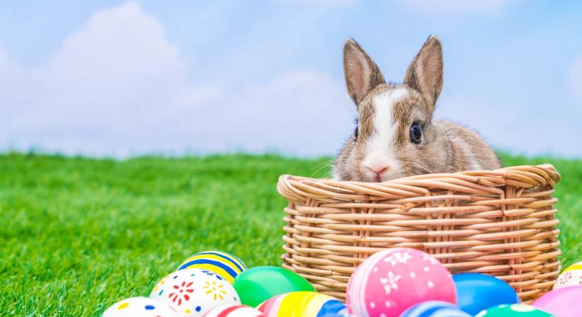 101 felejthetetlen húsvéti program országszerte a hosszú hétvégére