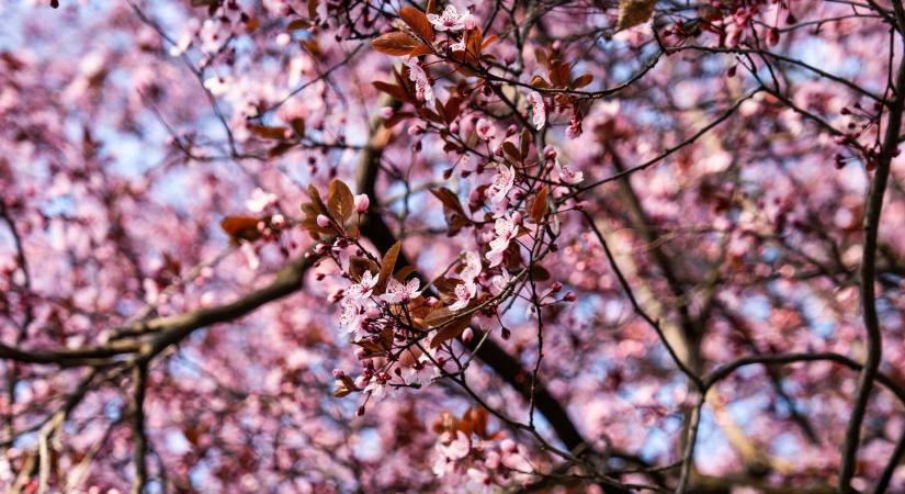Borús reggel, napos délután – így alakul a Nagypéntek