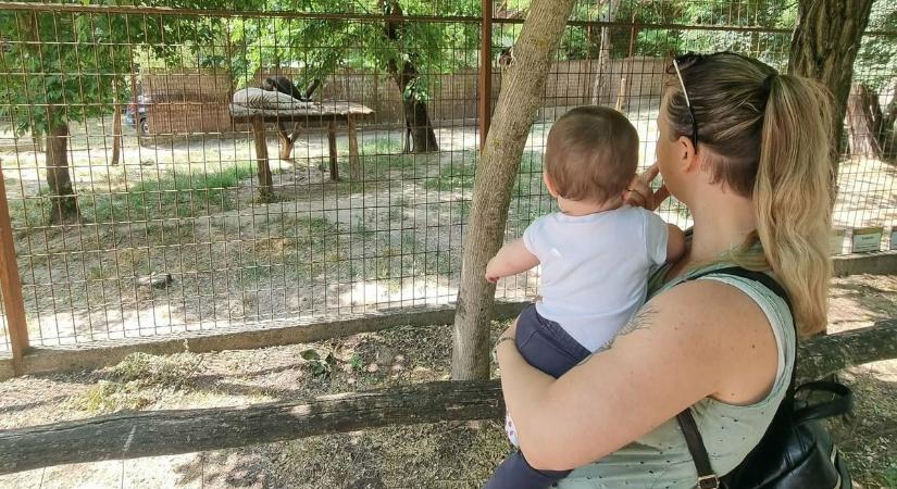 Akár 10 millió forint is járhat a baba után: Magyarország lett a családtámogatás európai bajnoka