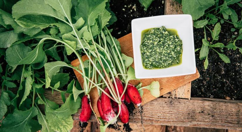 Ne dobd ki a retek levelét, eszméletlen, mire jó