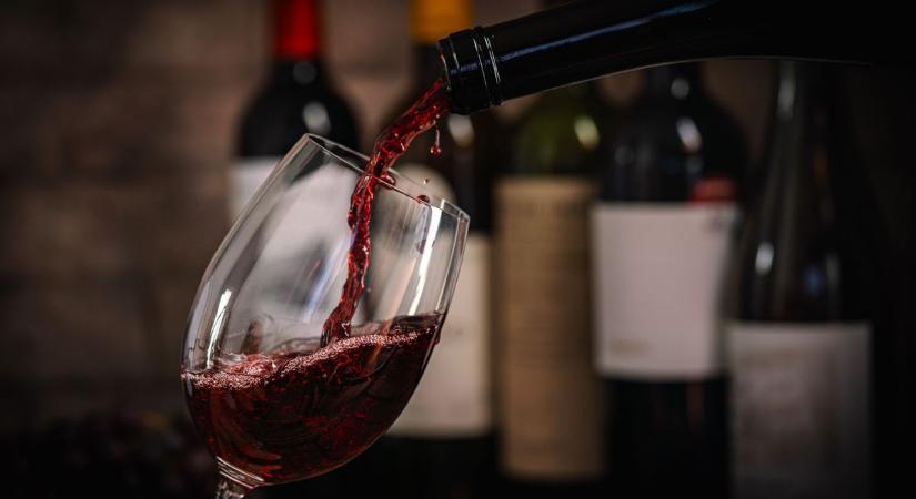 Hogy kell helyesen bort kóstolni? Gianni és Miki most megmutatják a profi titkokat!