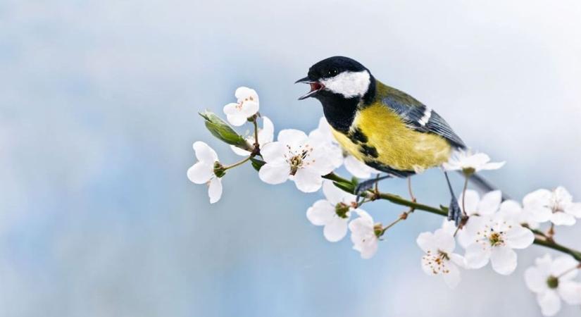 Azonnal hagyjon fel ezzel a szokással! Többet árt vele, mint amennyit használ!