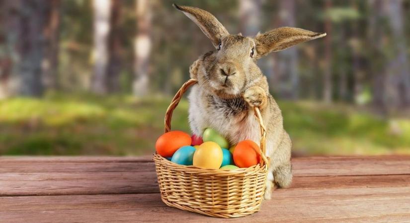 Meglepő igazság a húsvéti nyúlról és a tojásról – ezért lettek az ünnep jelképei