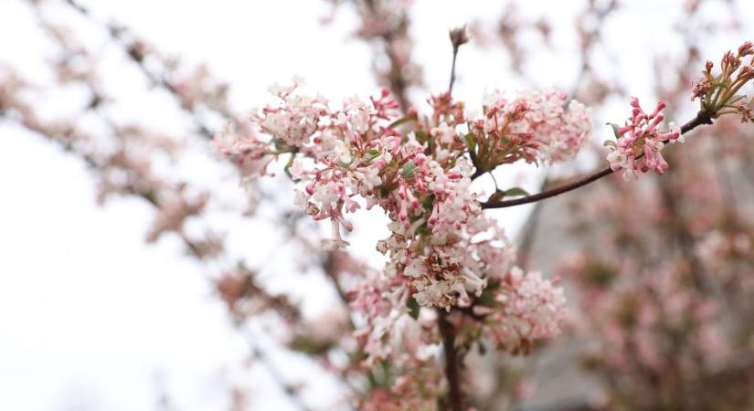 Kabát nélkül jöhet a tojáskeresés - mutatjuk, milyen idő várható a hosszú hétvégén