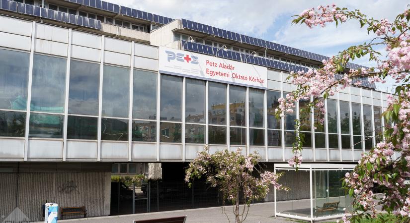 A szorgos gólya sok családhoz ellátogatott