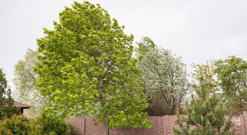 Eső, szél, ború? Ilyen időre számíthatunk nagypénteken