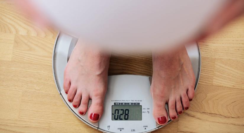 Ezzel majd mindenki lefogy? Váratlan helyen találtak egy hatékony Ozempic-alternatívát: óriáskígyóban