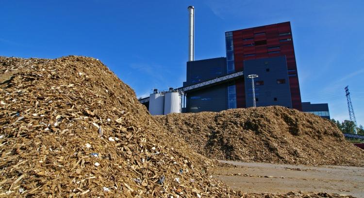 Az ember alkotta anyagok tömege már lehagyta a biomasszát