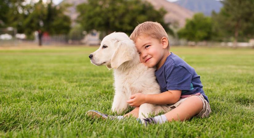 A legjobb kutyafajták gyerek mellé – 10 barátságos társ, akik jól kijönnek a legkisebbekkel is