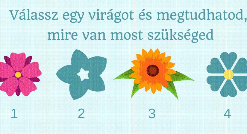 Válassz egy virágot és megtudhatod, mire van most a legnagyobb szükséged az életedben
