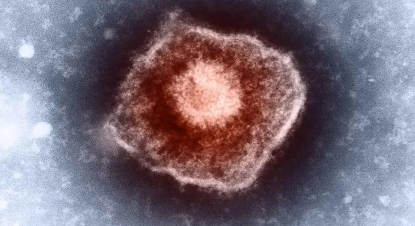 Egy szúrás megvédhet az infarktus és a stroke ellen