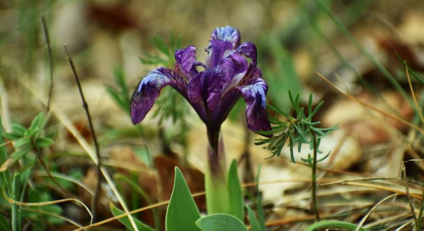 Igazi csodahelyet találtunk Zalában – ezt mindenképp látnod kell! (galéria, videó)