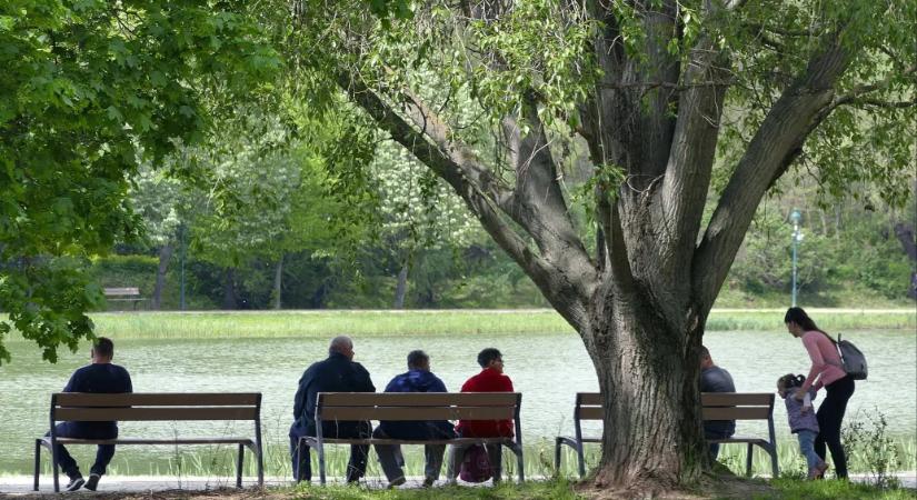 Vasárnap már többórás napsütés is lehet, 20 fok fölé melegedhet a levegő