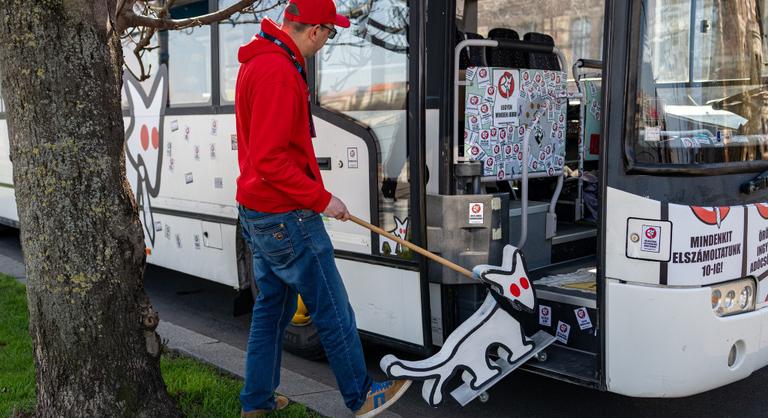 Kutyapárt: a románoknak nincs