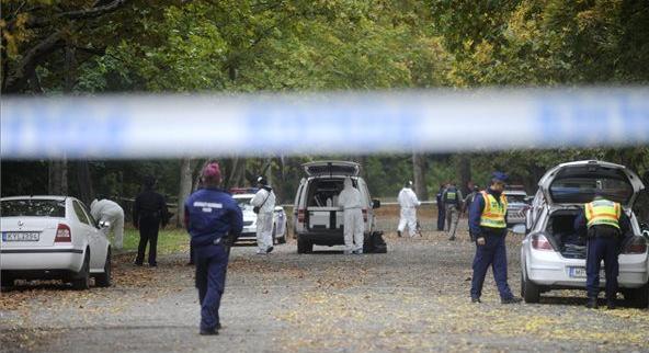 Késsel támadt egy ismeretlen családra a népligeti gyilkosság áldozatának fia