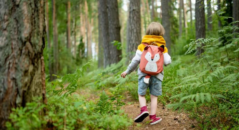 A legjobb túrák gyerekekkel a tavaszi hosszú hétvégére: eldugott tanösvények Budapest környékén